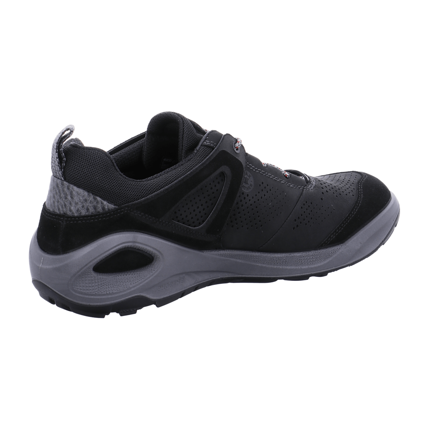 Ecco biom discount 2go titanium