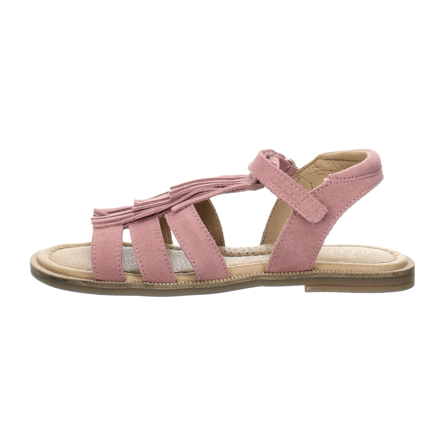 31323331363836-0001-eu_3100