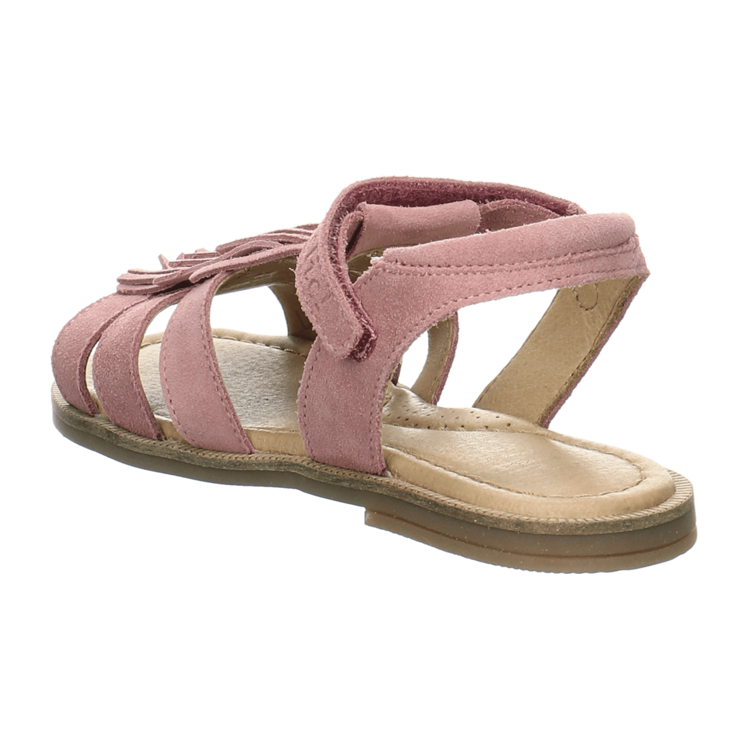 31323331363836-0001-eu_3100