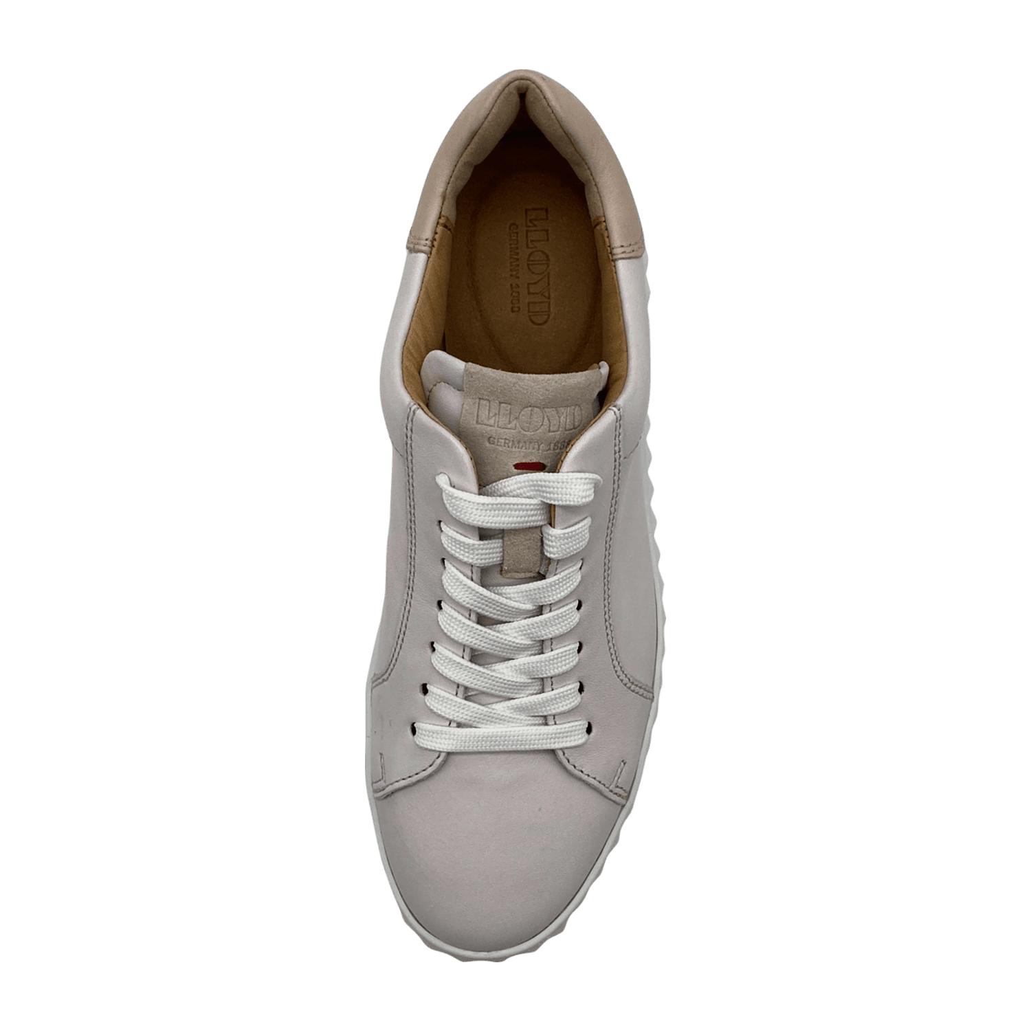 Lloyd 1375031 in Beige | schuhe.de
