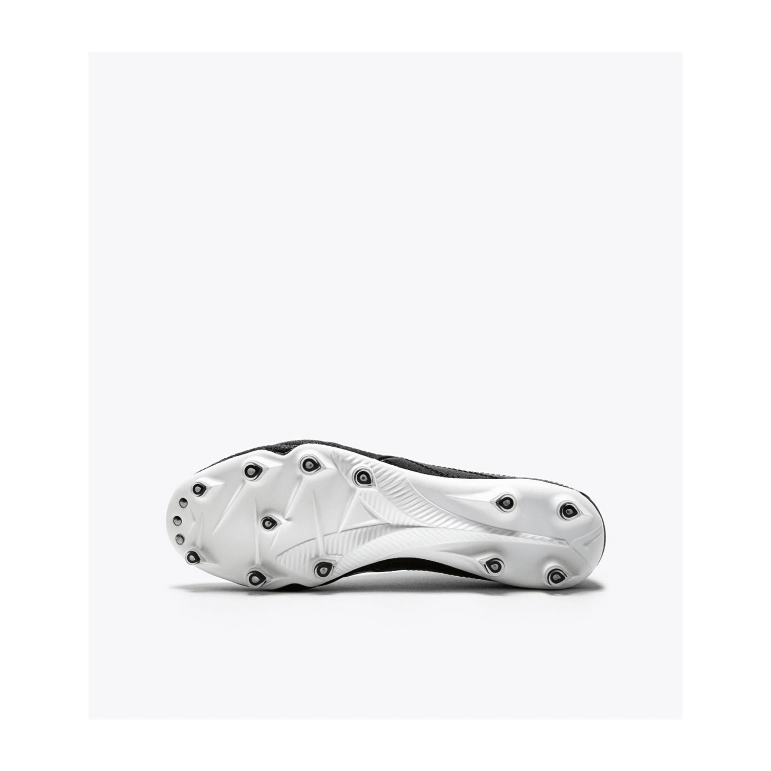 646961646F72615F313031313739353939-0002-uk_115