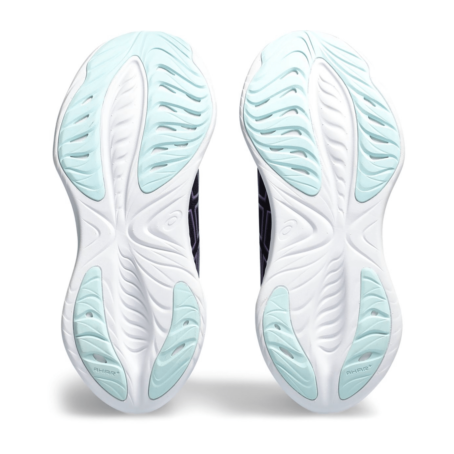 61736963735F3130313262343431-0006-us_70