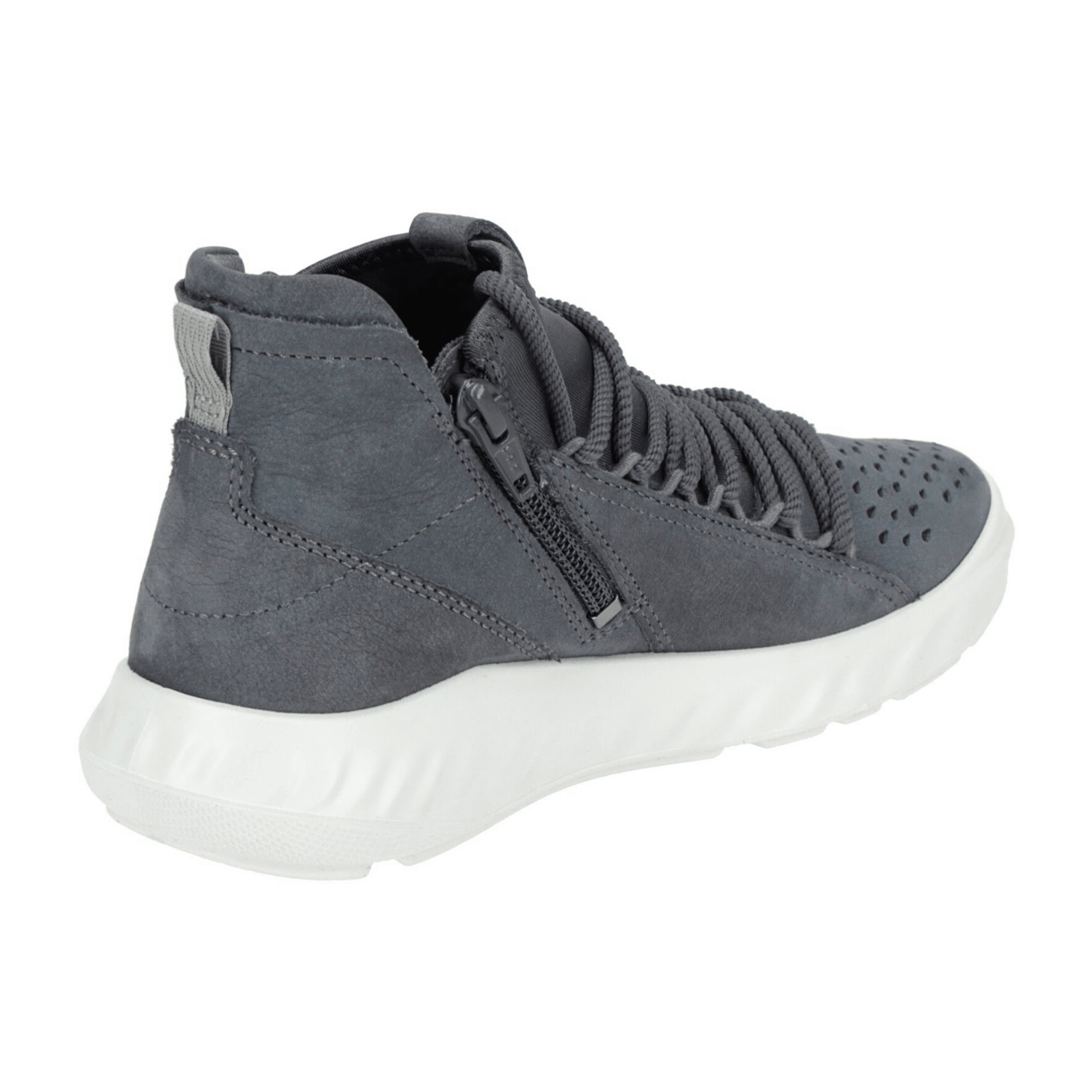 31373833363536-0001-eu_2900