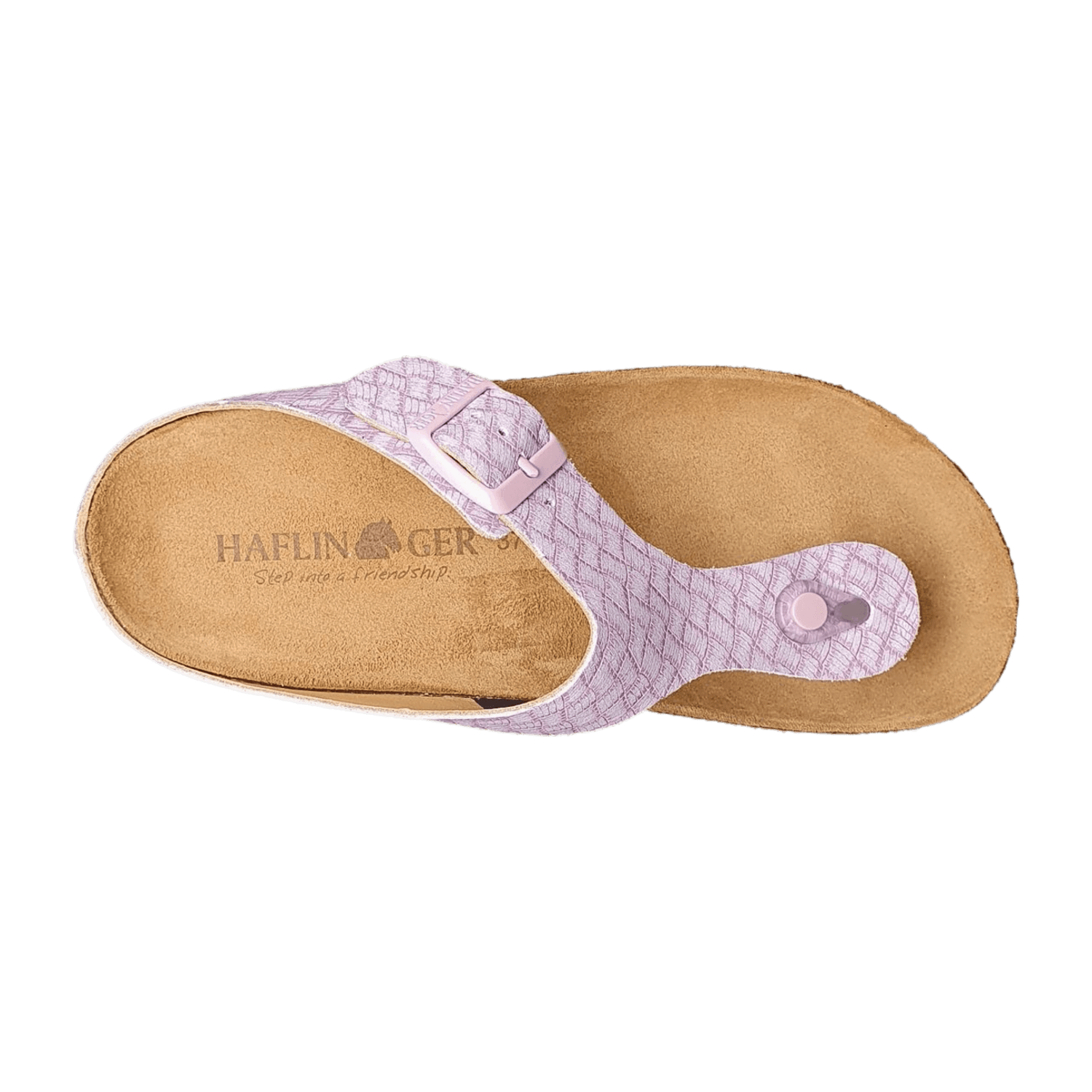 31383139303231-0001-eu_3800