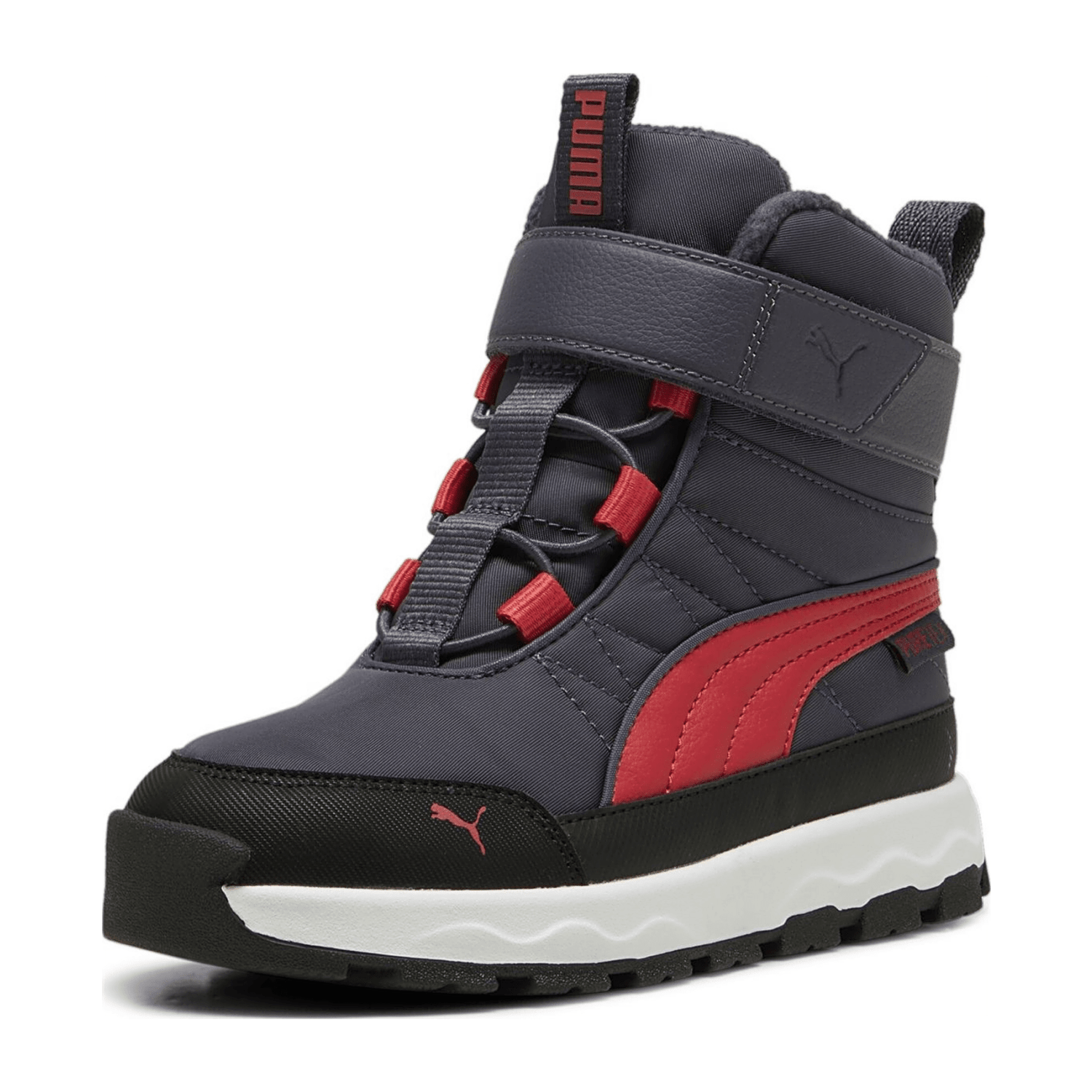 70756D615F333932363439-0003-uk_100k