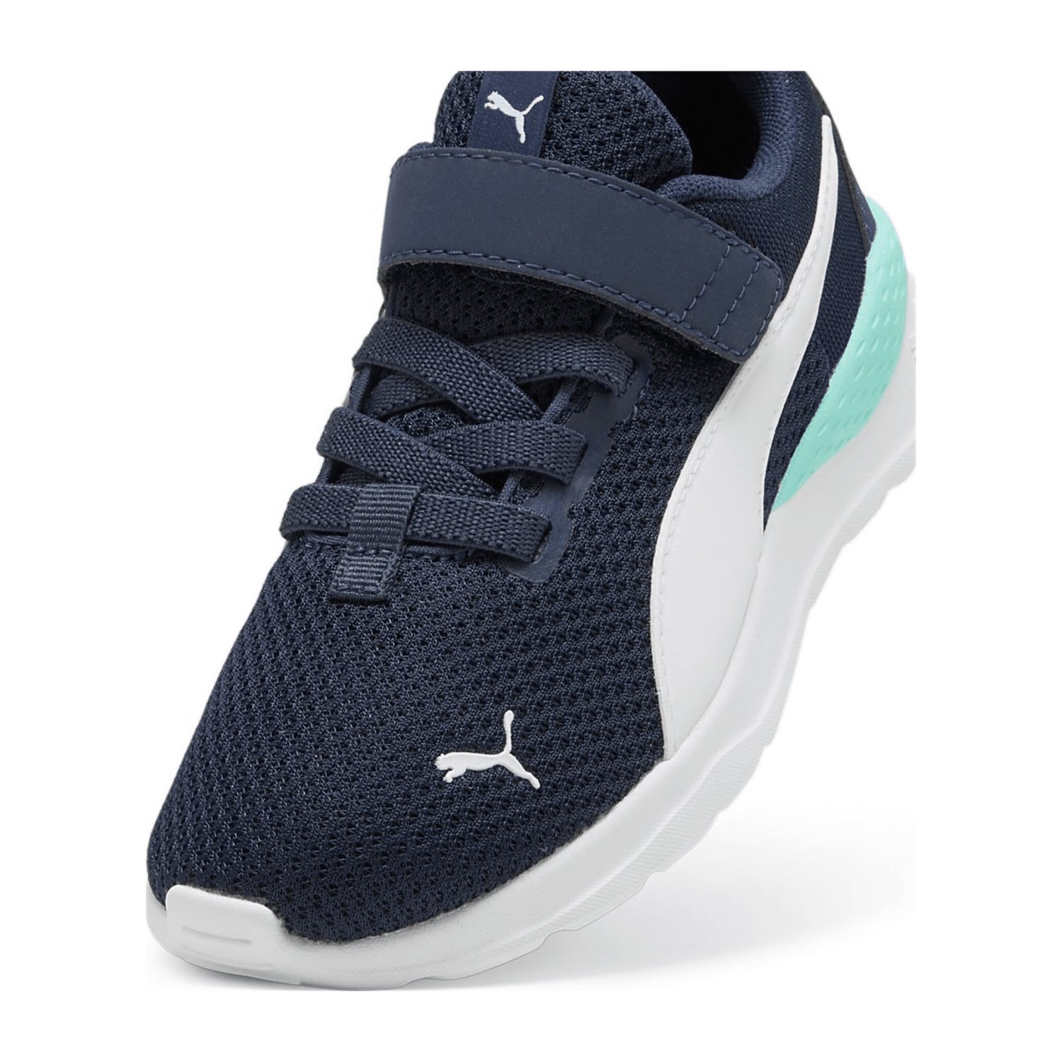 70756D615F333732303039-0012-uk_115k