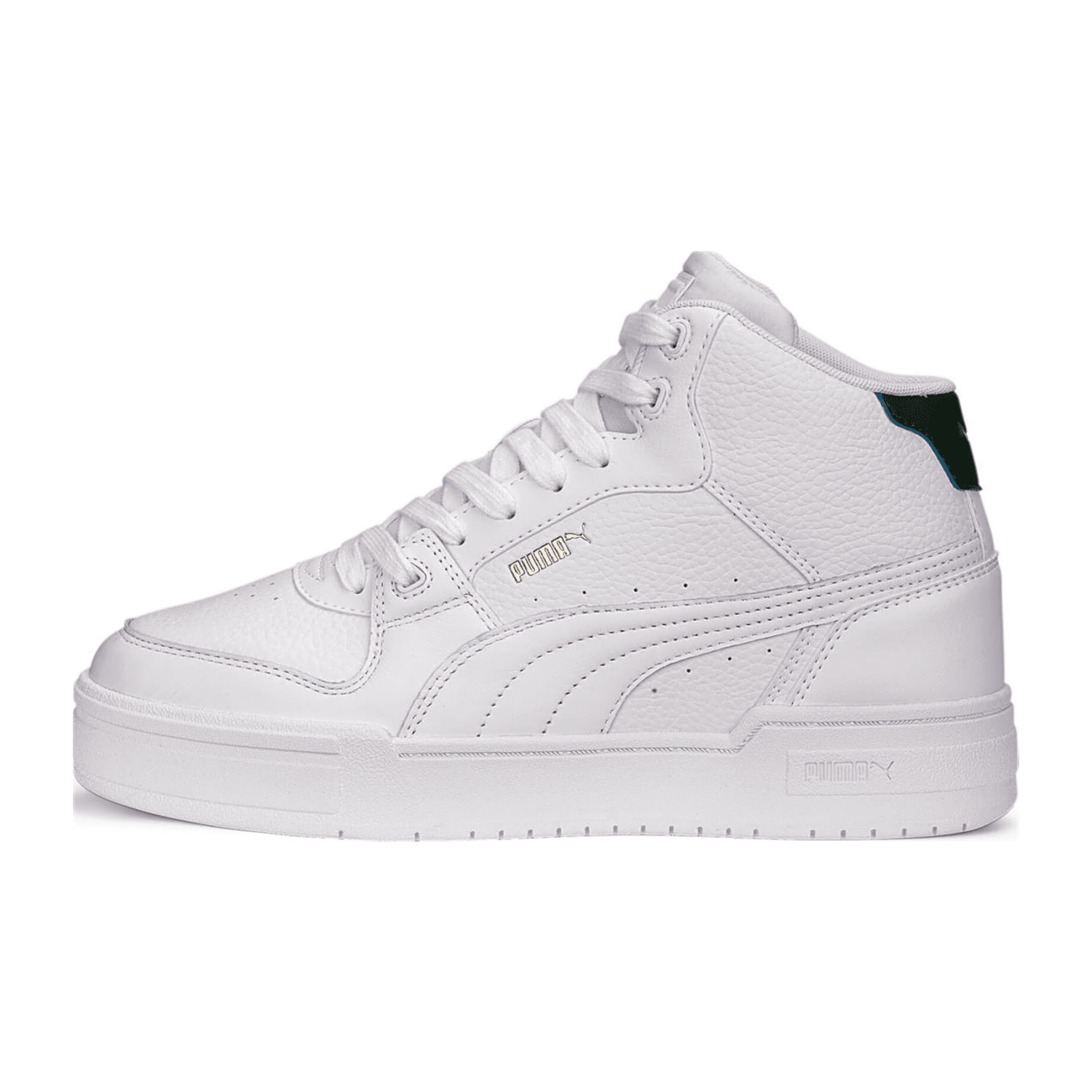 70756D615F333836373539-0002-uk_100