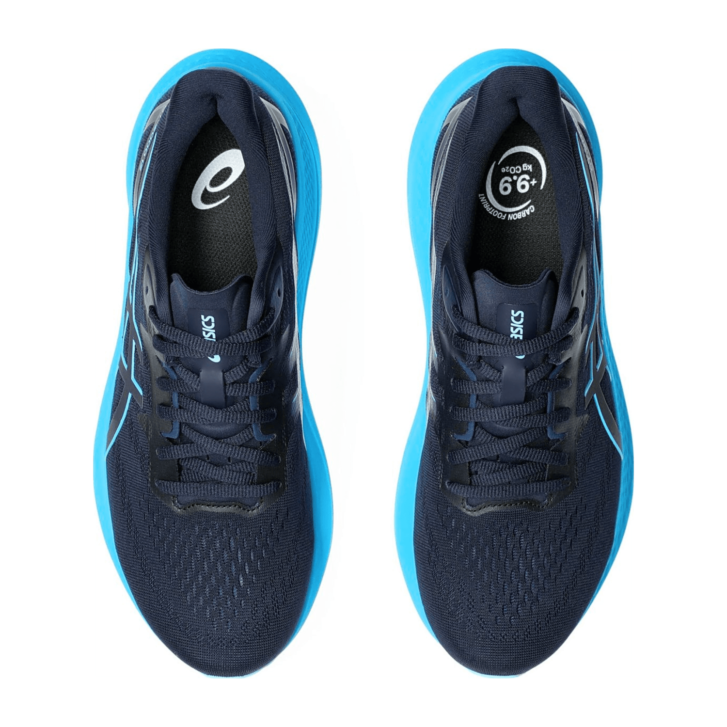 61736963735F3130313162363931-0006-uk_95