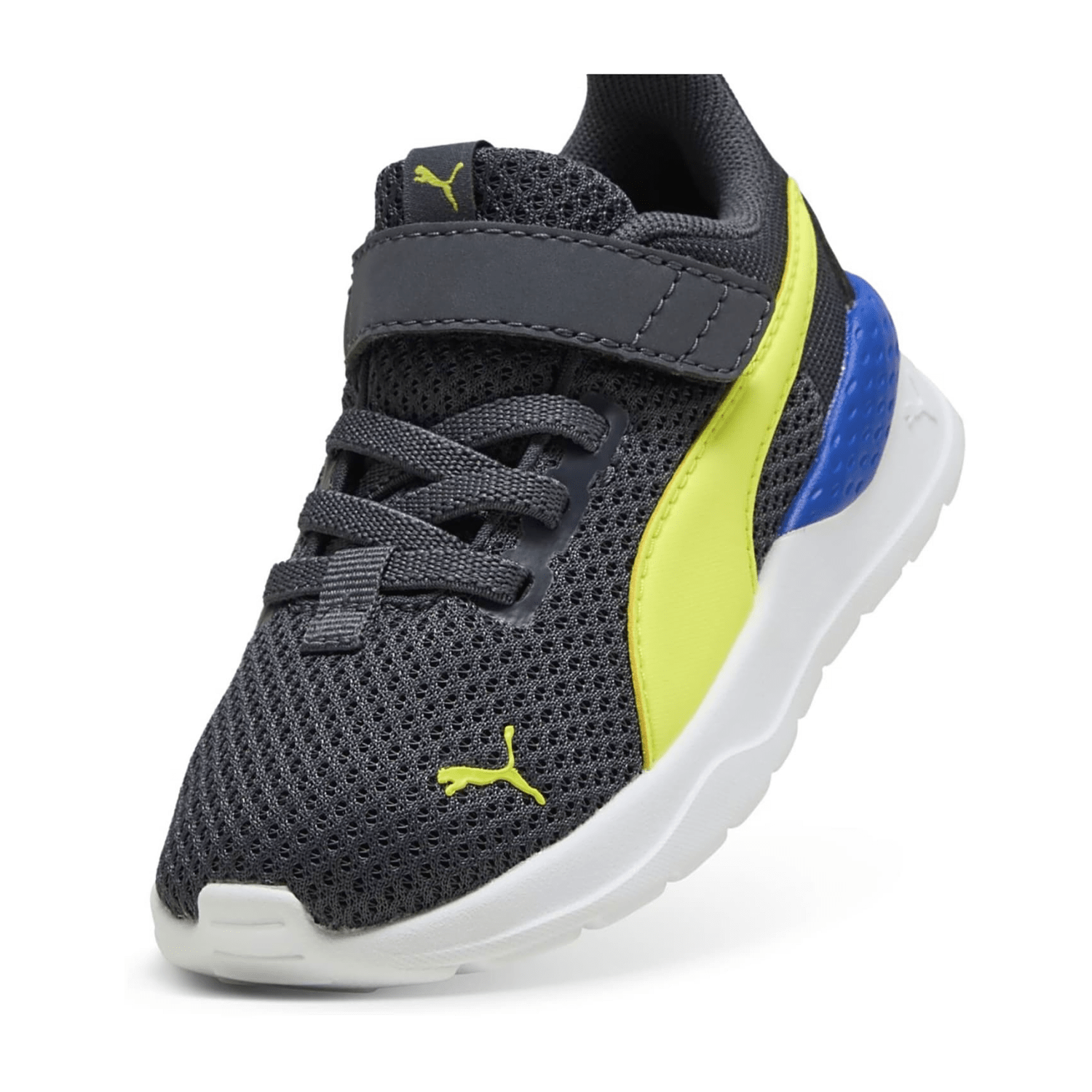 70756D615F333732303130-0011-uk_40k