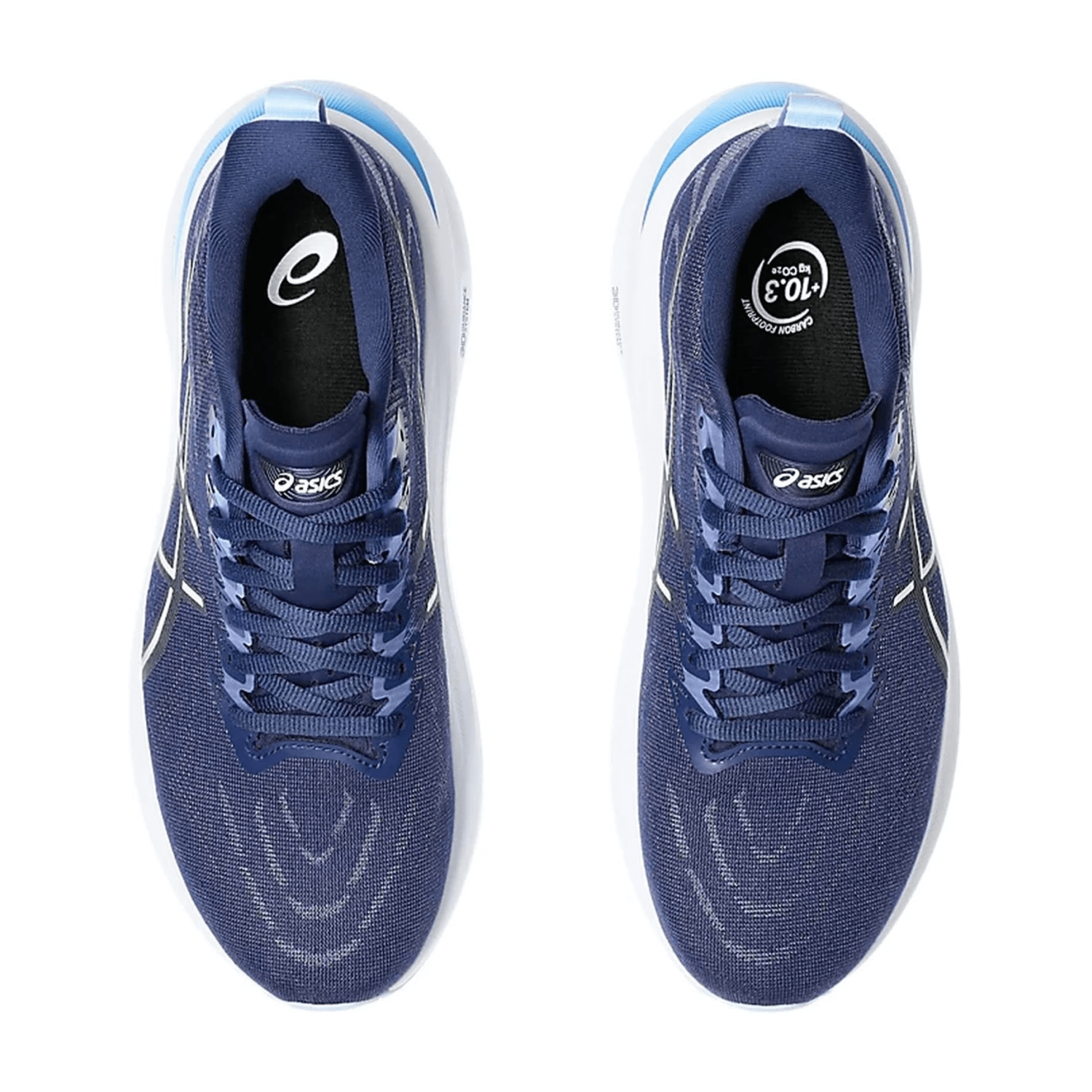 61736963735F3130313262363636-0005-us_100