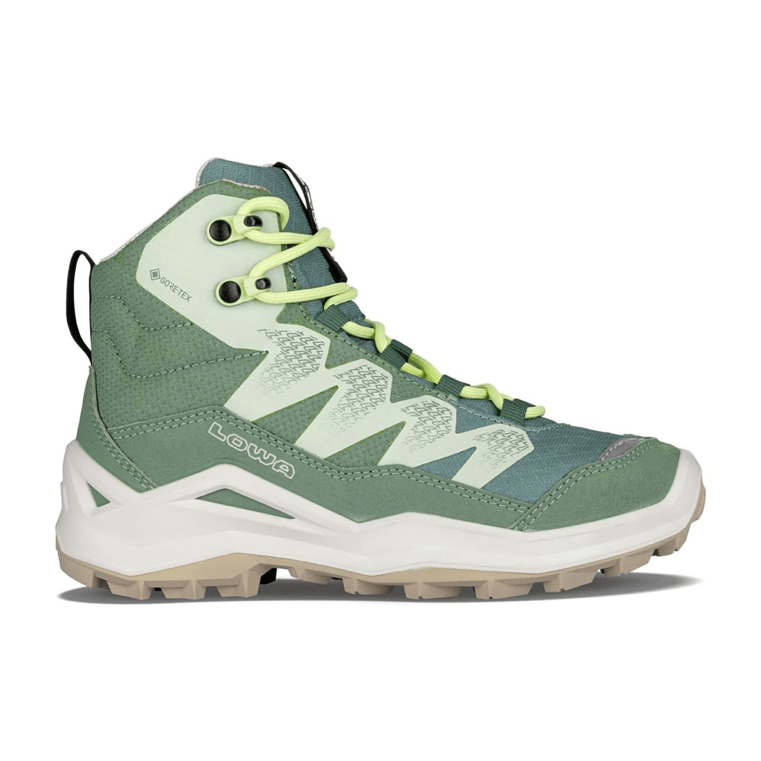 6C6F77615F363431363235-0001-eu_3100