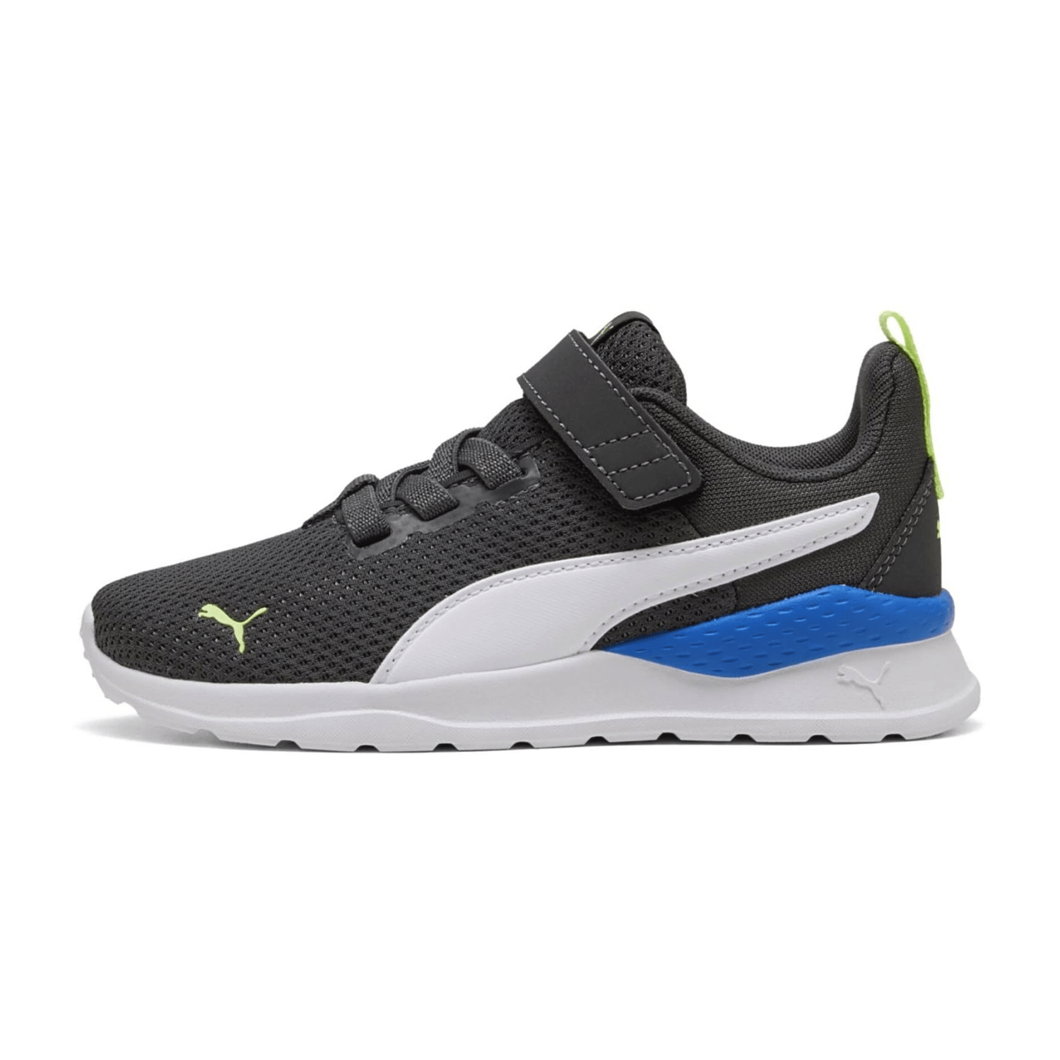 70756D615F333732303039-0016-uk_100k