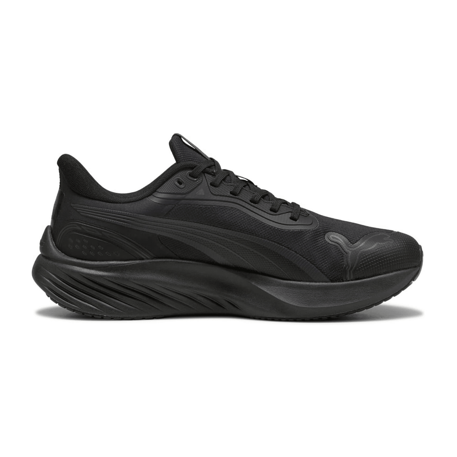 70756D615F333131373239-0002-uk_100