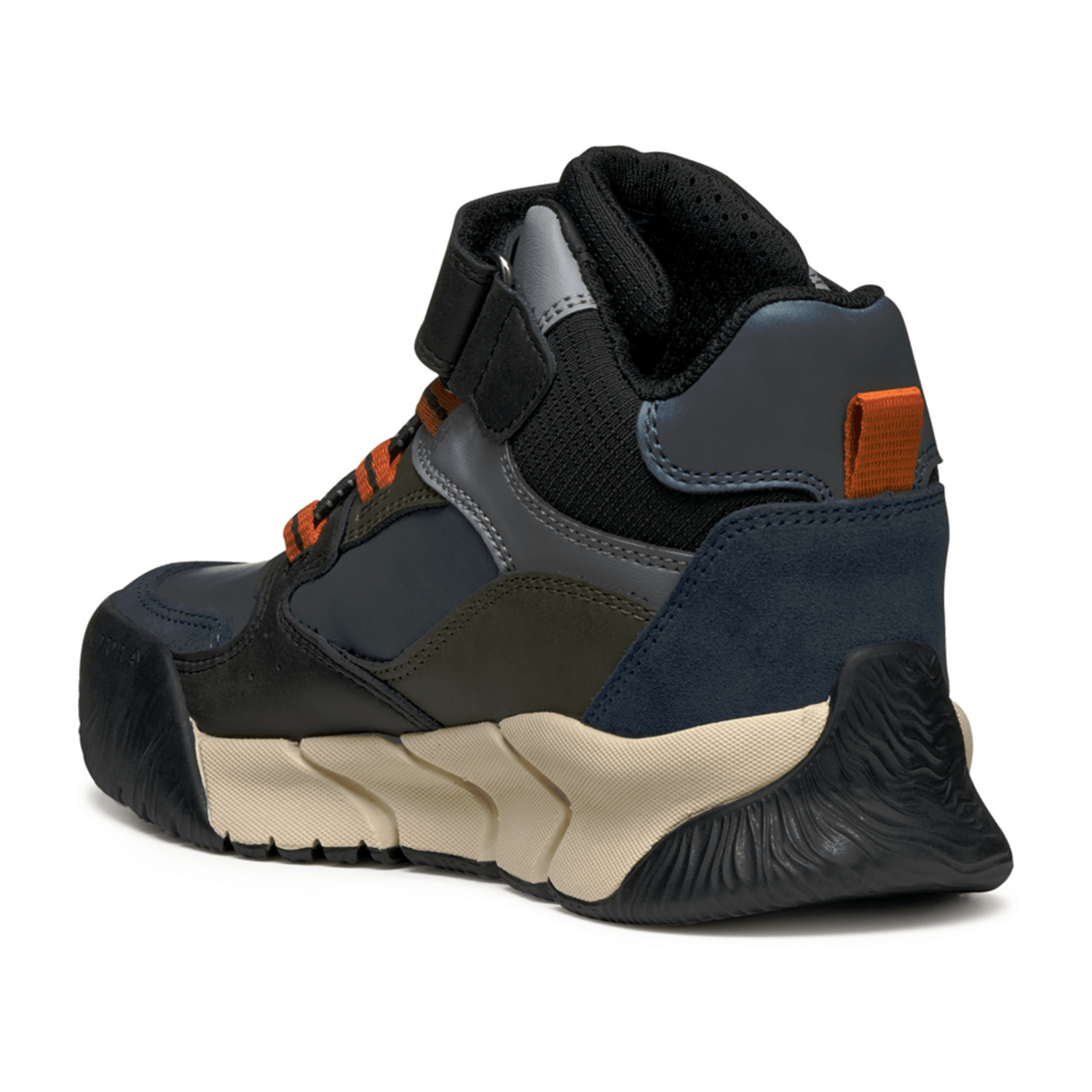 32313033323331-0001-eu_3100