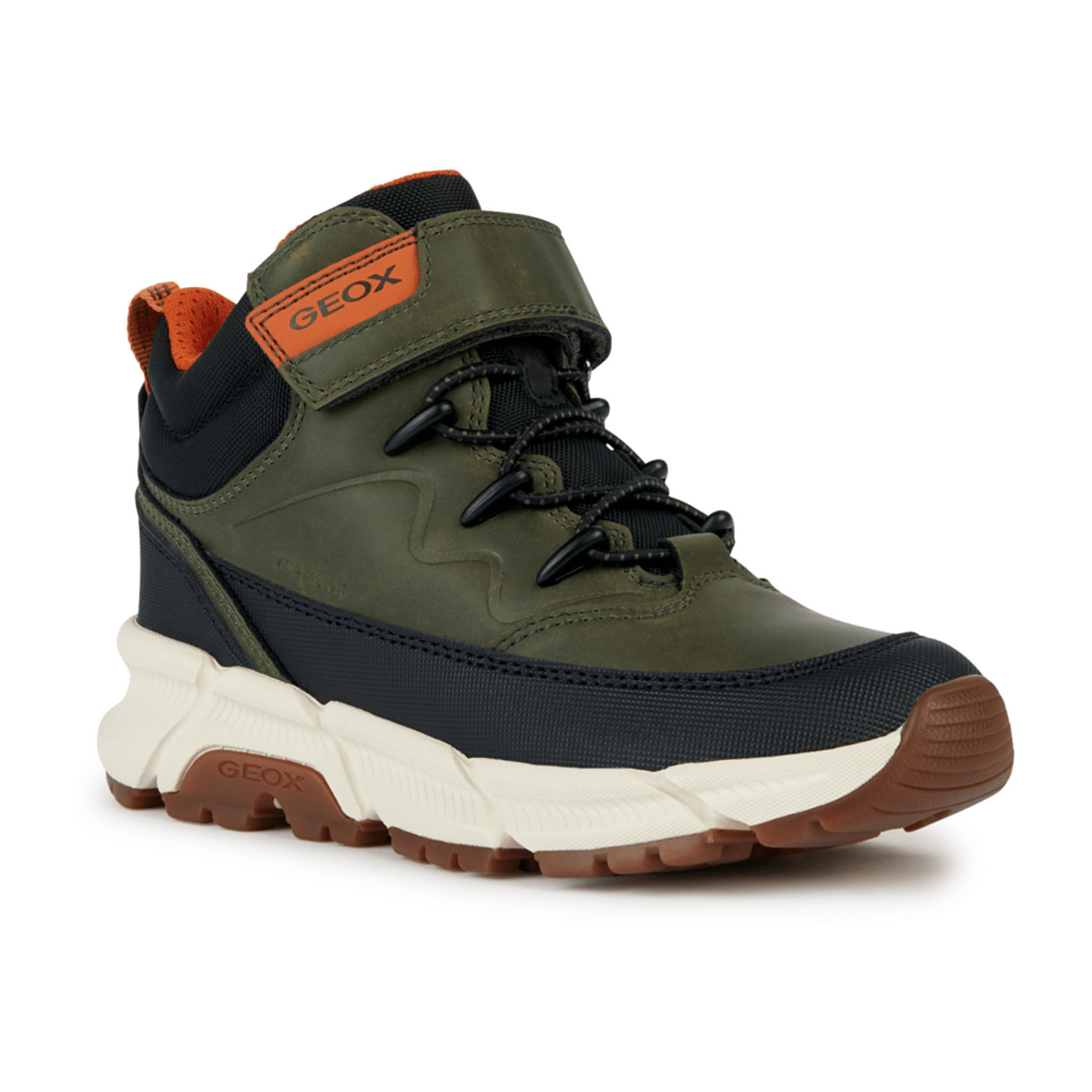 32313033323336-0001-eu_3100