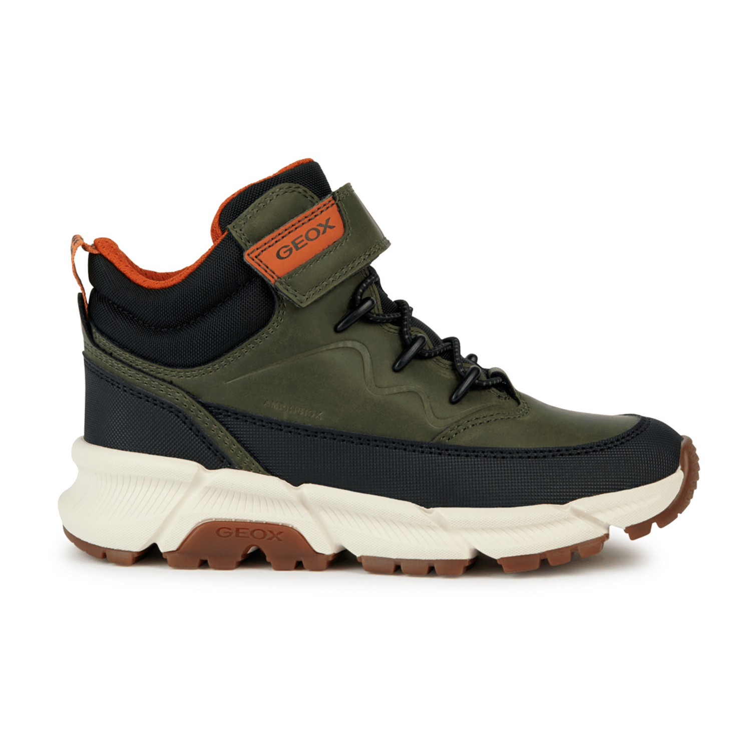 32313033323336-0001-eu_3100