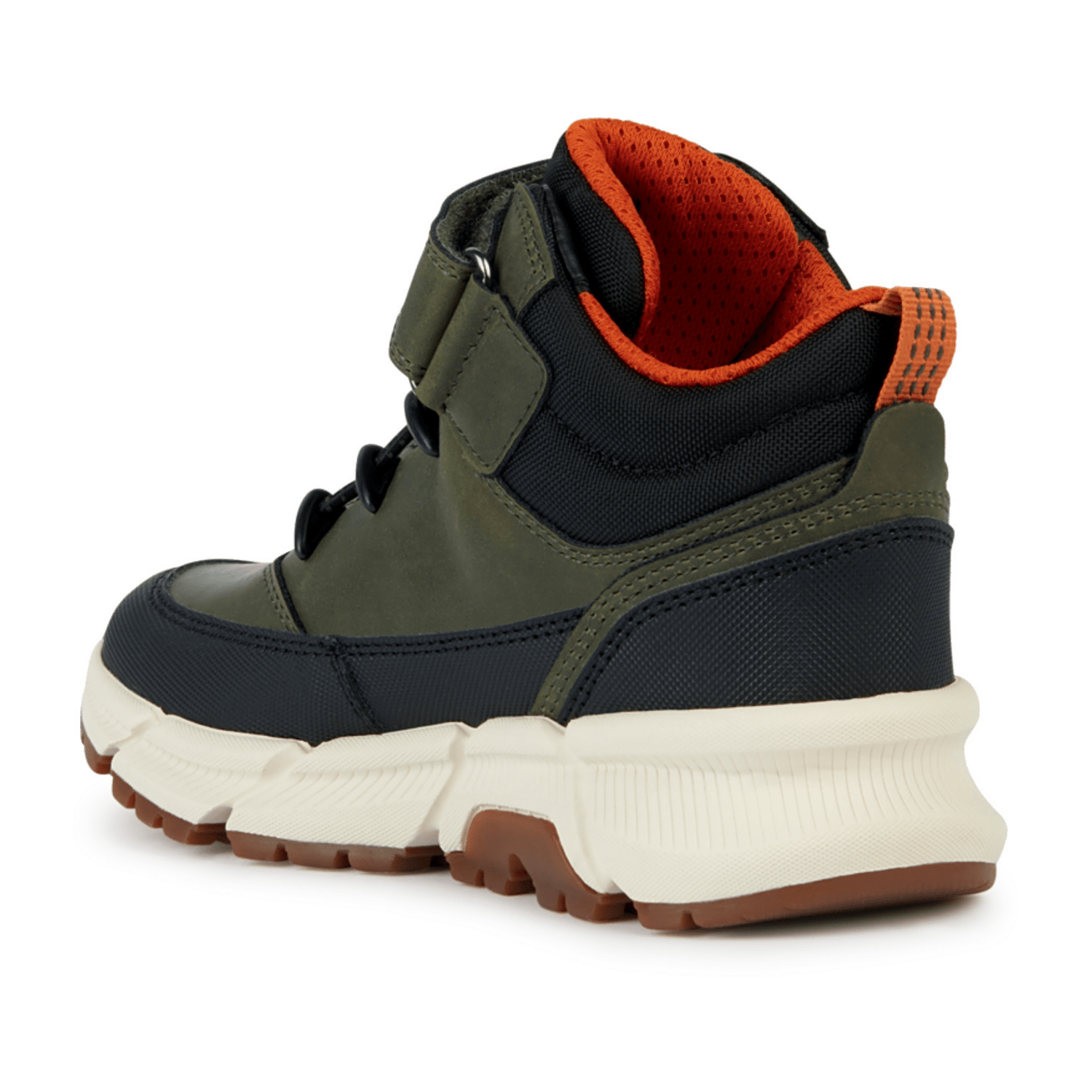 32313033323336-0001-eu_3100