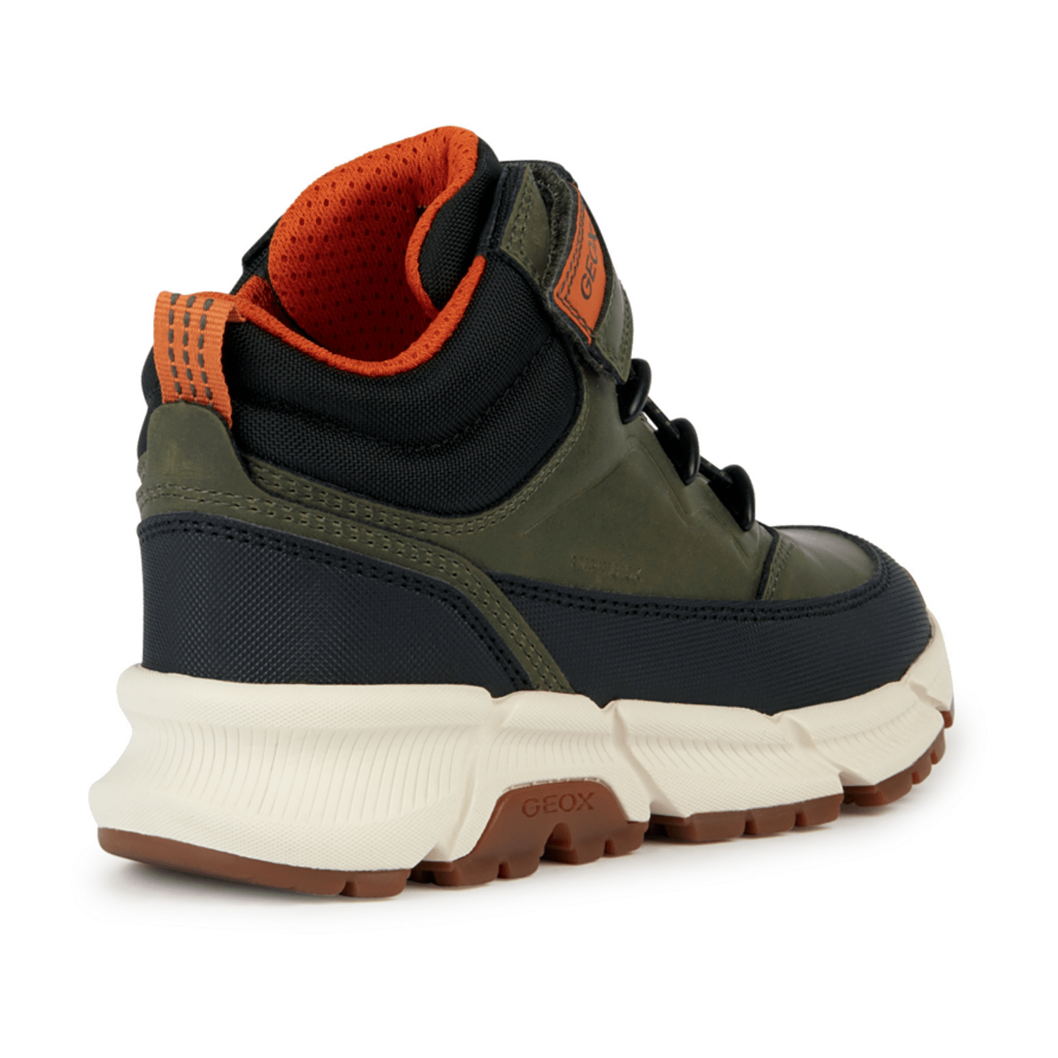 32313033323336-0001-eu_3100