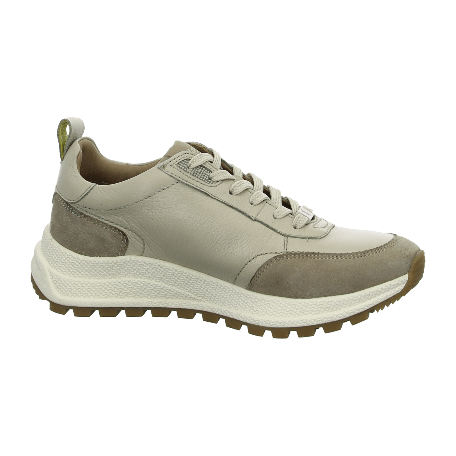 32313236323937-0001-eu_3800