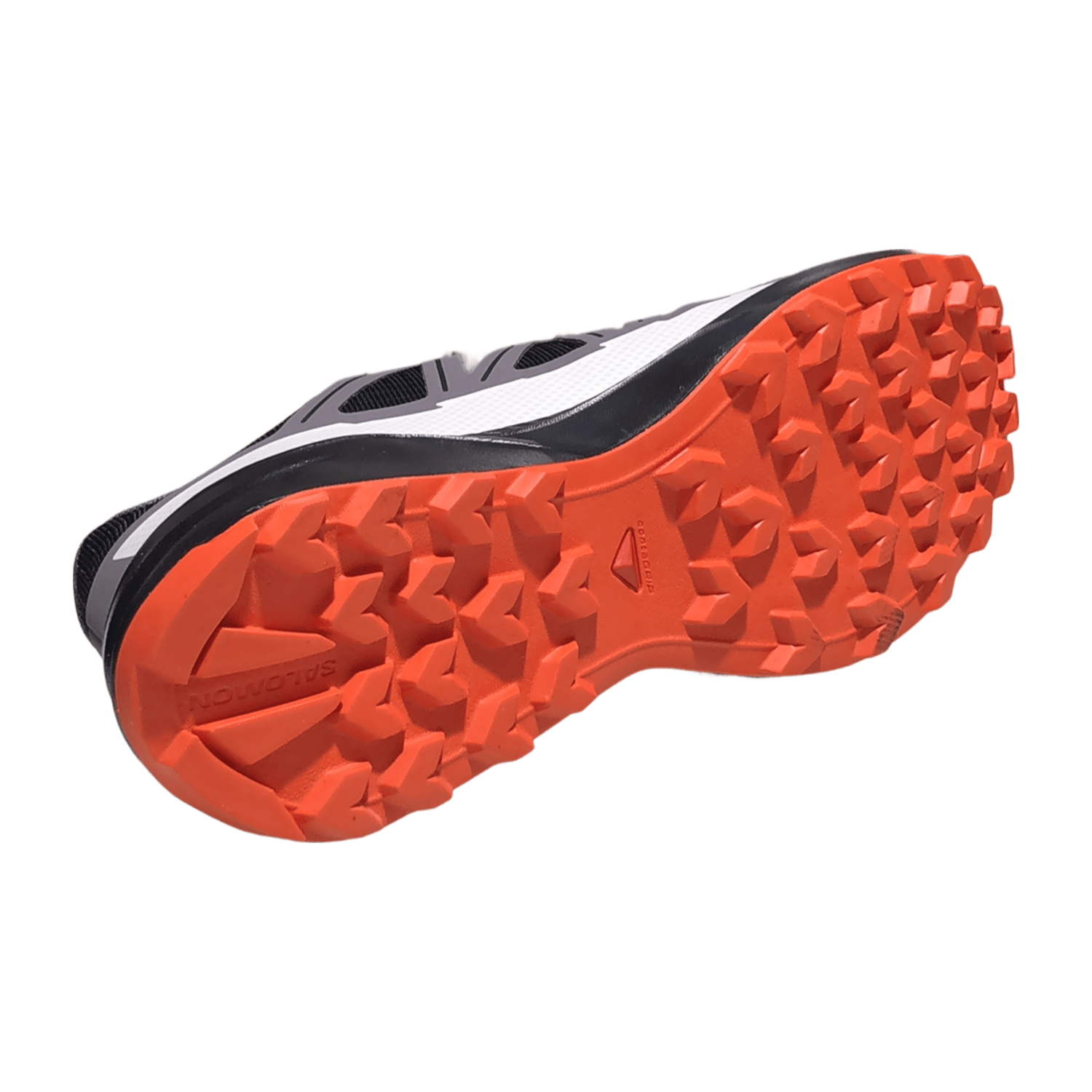 32313633373634-0001-uk_100