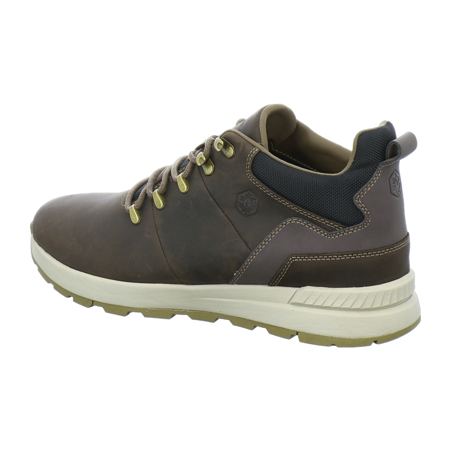 32313633383435-0001-eu_4100