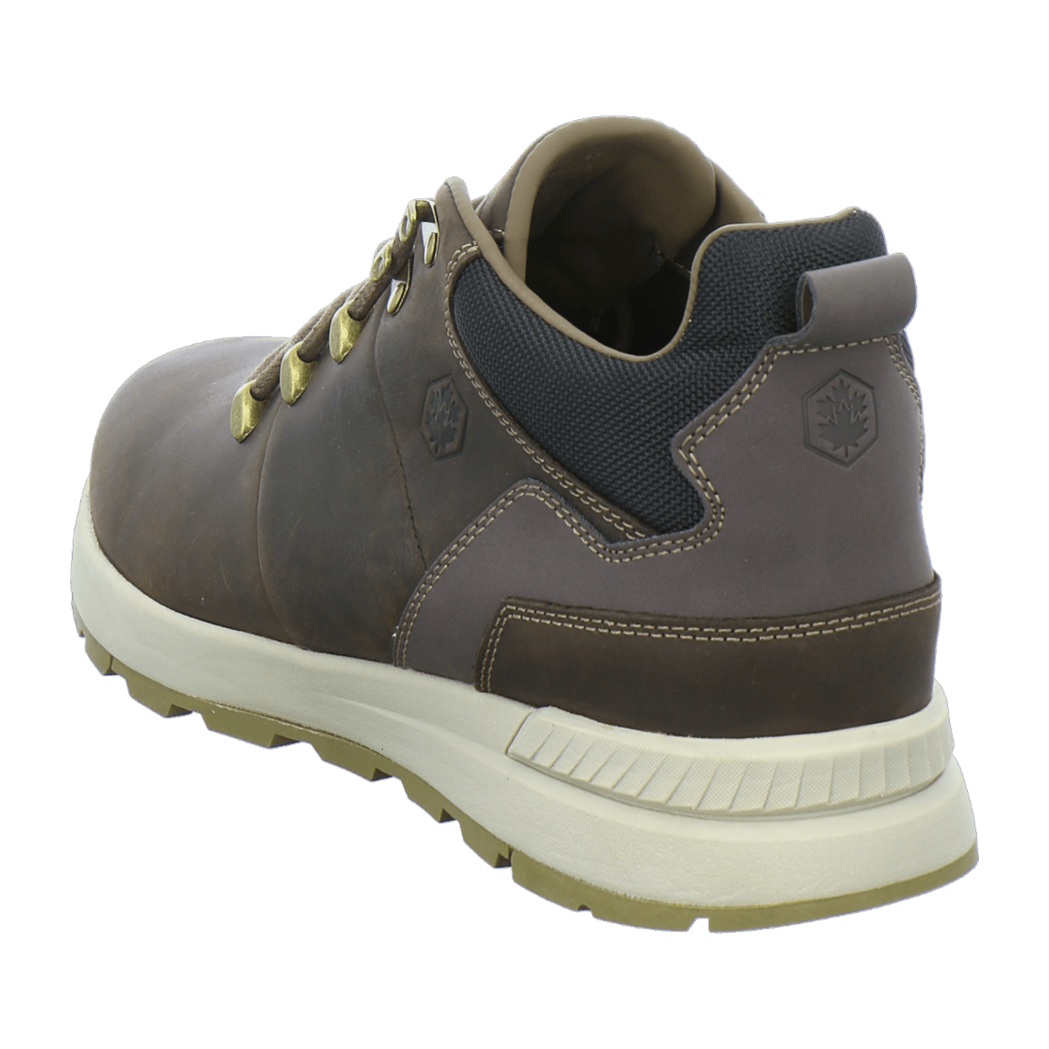 32313633383435-0001-eu_4100