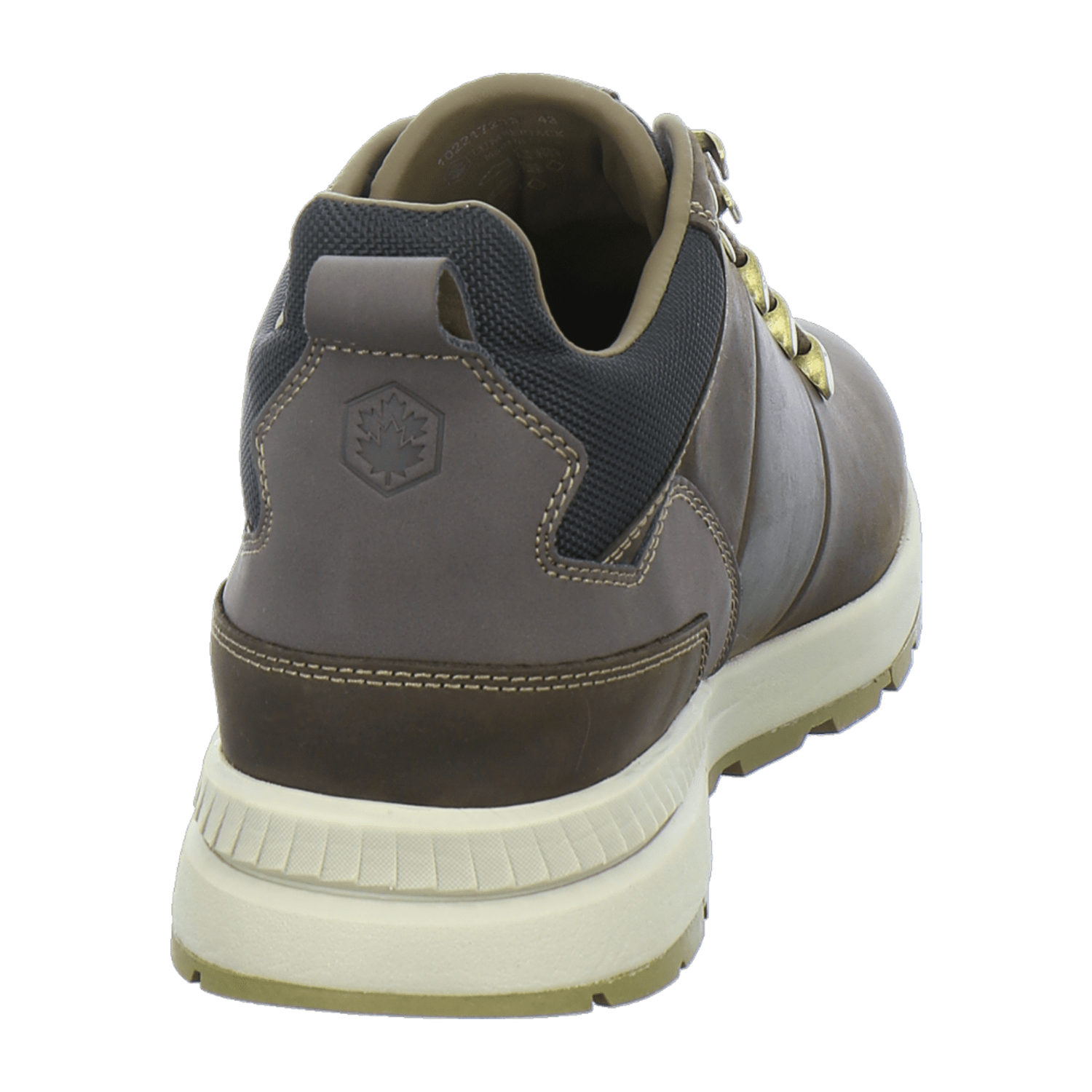 32313633383435-0001-eu_4100