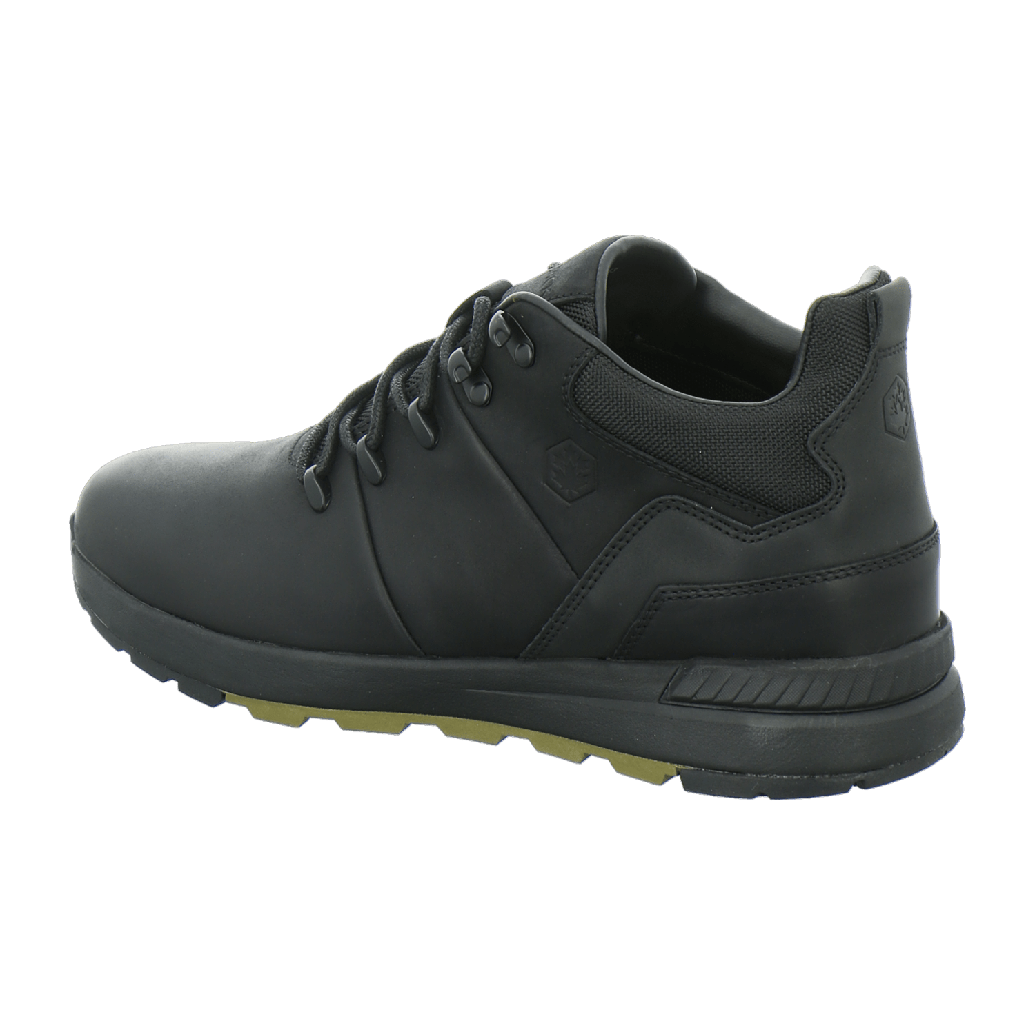 32313633383436-0001-eu_4100