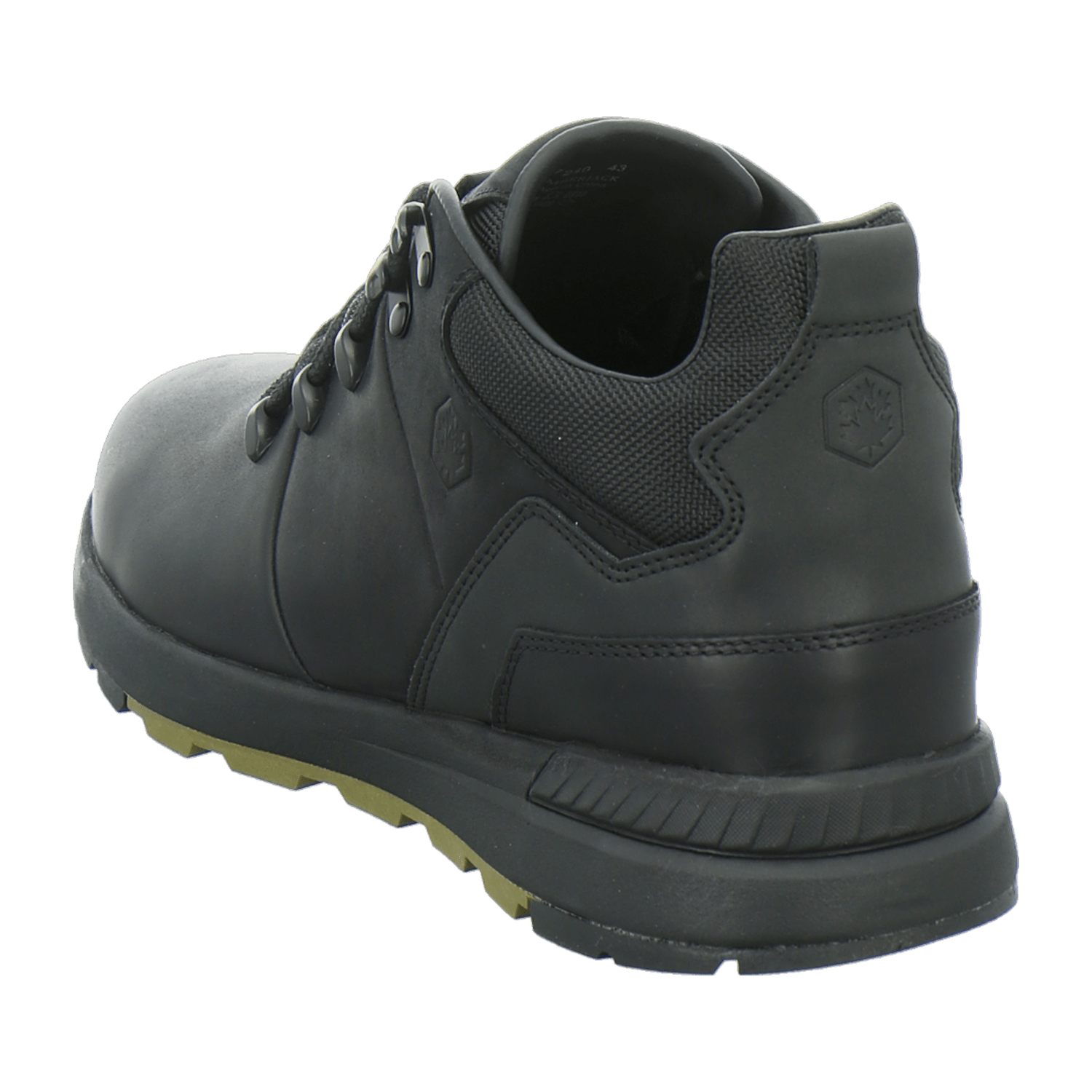 32313633383436-0001-eu_4100