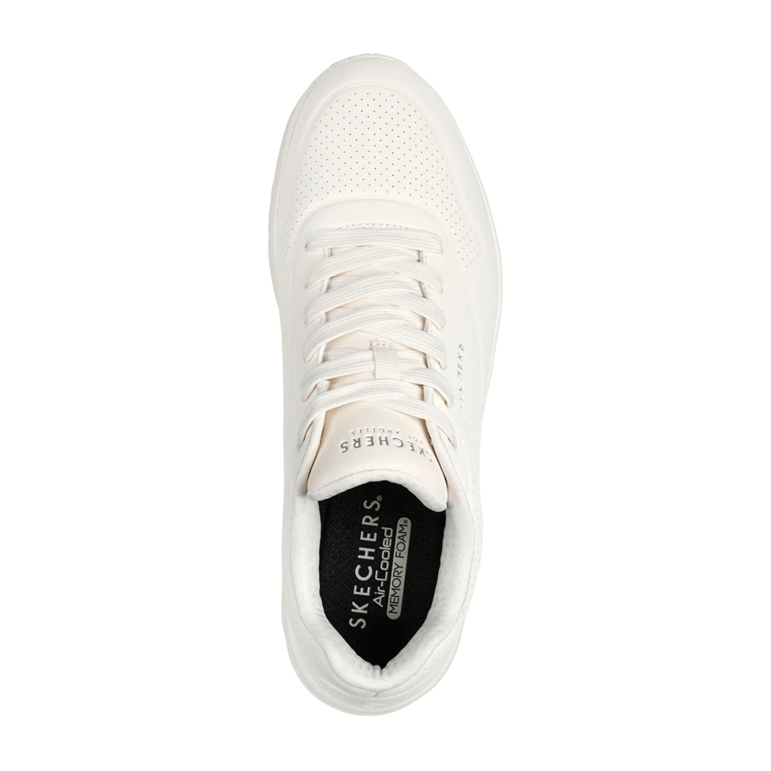 736B6563686572735F3532343538-0019-eu_4100