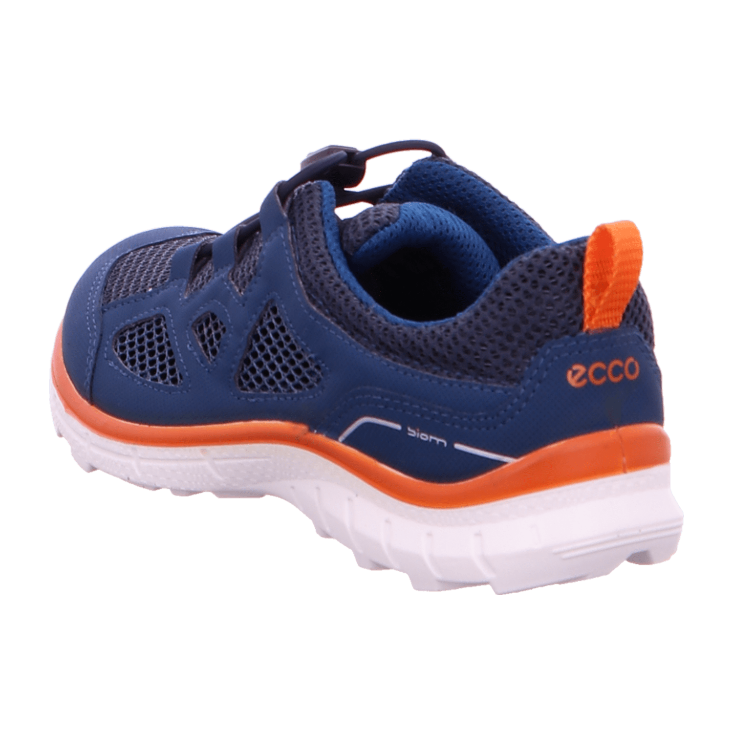 343136393931-0001-eu_2900