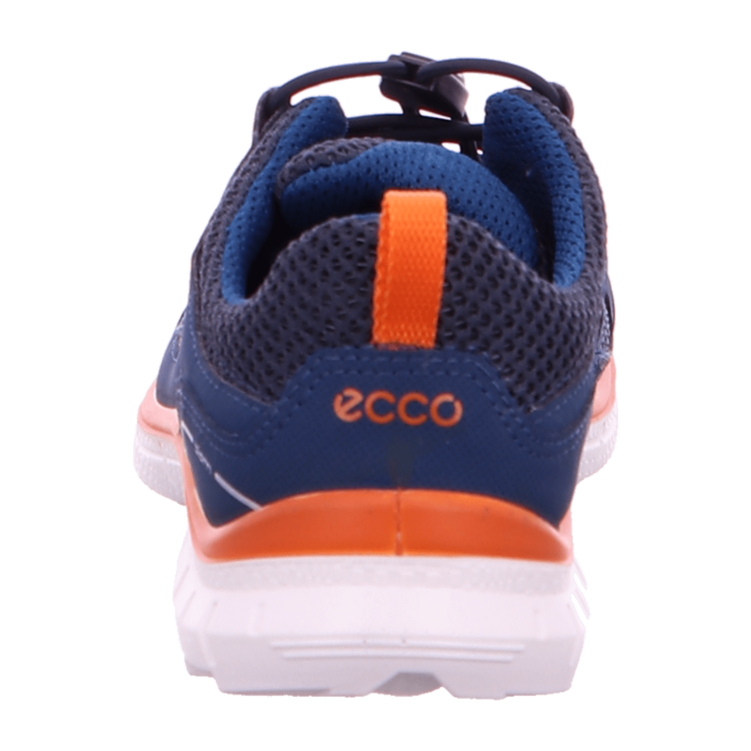 343136393931-0001-eu_2900