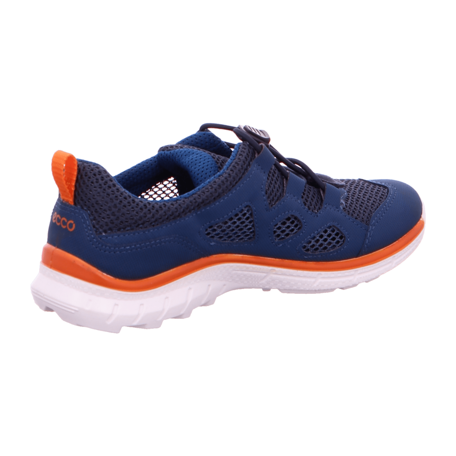 343136393931-0001-eu_2900