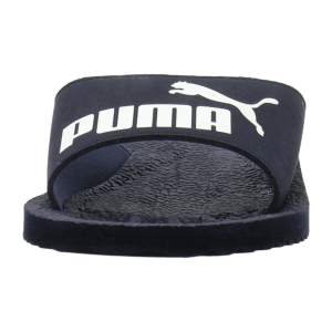 Puma Purecat