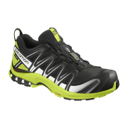 Salomon XA Pro 3D GTX