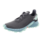 Salomon Schuhe ALPHACROSS 4 GTX W Ebon