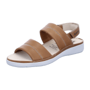 Ganter Evi hazel