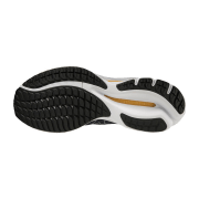 Mizuno WAVE RIDER 26 2E
