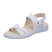 Ganter Evi 5-200511-0600 milk Calf