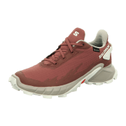 Salomon Schuhe ALPHACROSS 4 GTX W Wild