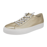 Paul Green 4081