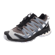 Salomon XA PRO 3D v8 GTX