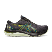 asics GT-2000 11 GTX