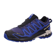 Salomon XA Pro 3 D V 9 GTX