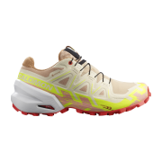 Salomon Speedcross 6 GTX