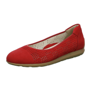 ara Sardinia Ballerina flamme