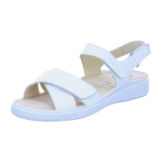 Ganter Gina 20 0101-0600 milk Calf