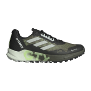 adidas terrex Agravic Flow GTX