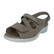 Solidus Moni NEBULA taupe M