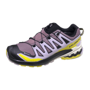 Salomon XA PRO 3D V9 GTX W